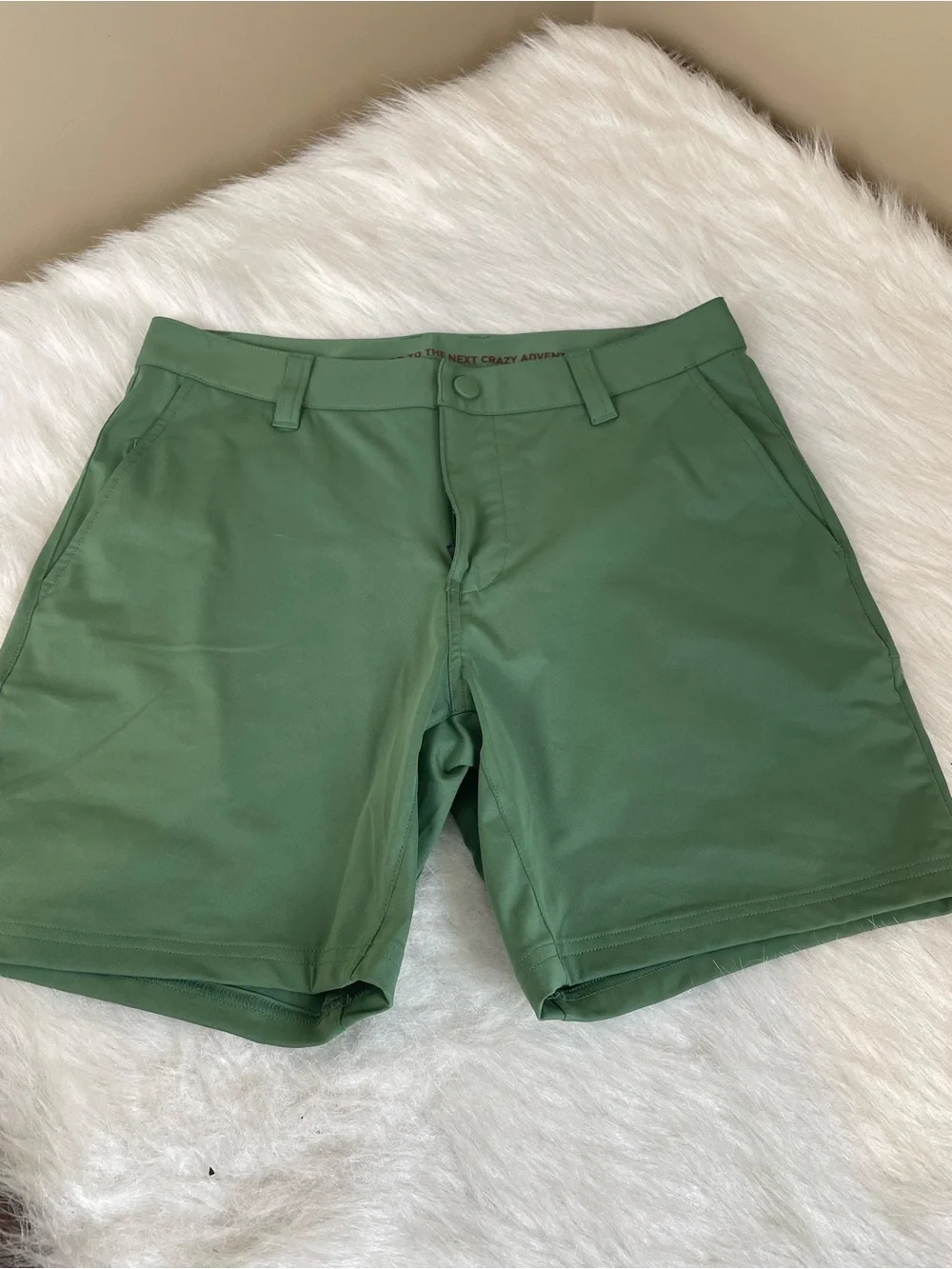 Rhône Momentum Men's Green Performance Shorts 30 x 6